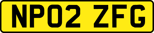 NP02ZFG