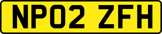 NP02ZFH