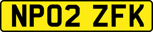 NP02ZFK