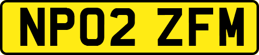 NP02ZFM