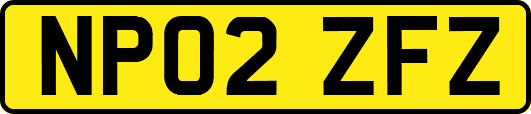 NP02ZFZ
