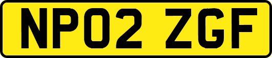 NP02ZGF