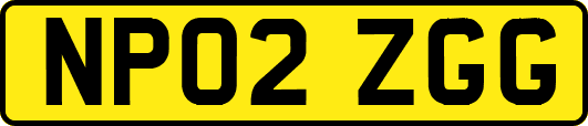 NP02ZGG
