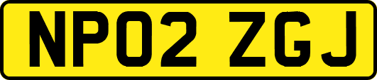NP02ZGJ