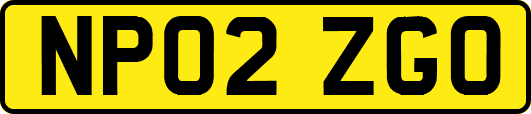 NP02ZGO