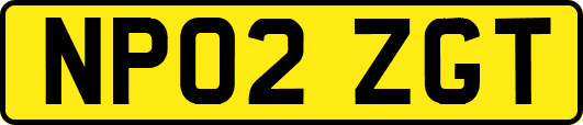 NP02ZGT