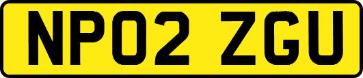 NP02ZGU