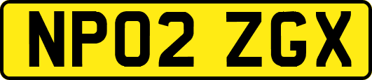 NP02ZGX