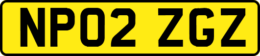 NP02ZGZ
