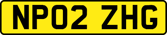 NP02ZHG