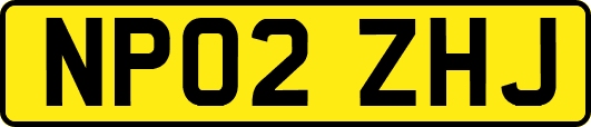 NP02ZHJ