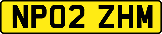NP02ZHM