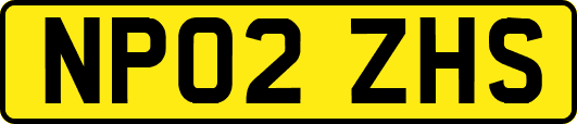 NP02ZHS