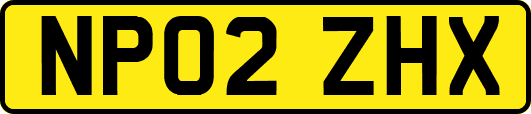 NP02ZHX
