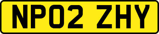 NP02ZHY