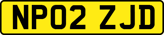 NP02ZJD