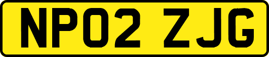 NP02ZJG