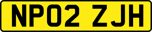 NP02ZJH