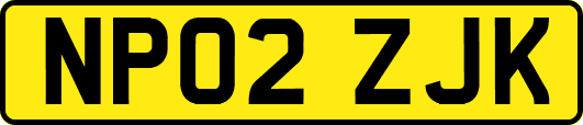 NP02ZJK