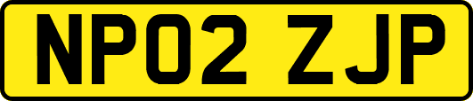 NP02ZJP