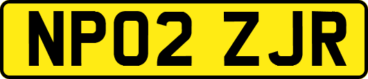 NP02ZJR