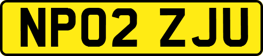 NP02ZJU