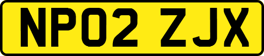 NP02ZJX