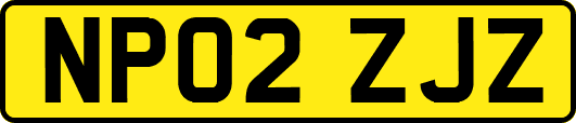 NP02ZJZ