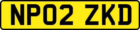 NP02ZKD