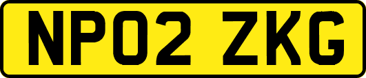 NP02ZKG