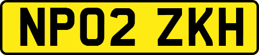 NP02ZKH
