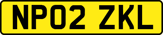 NP02ZKL