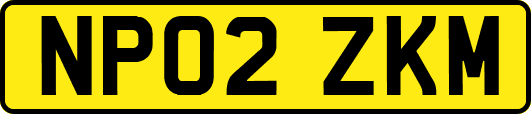 NP02ZKM