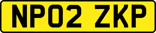 NP02ZKP