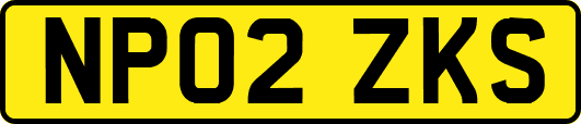 NP02ZKS