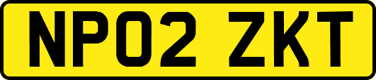 NP02ZKT