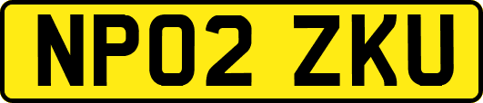 NP02ZKU
