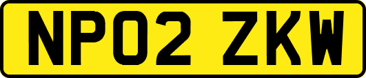 NP02ZKW