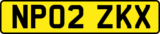 NP02ZKX