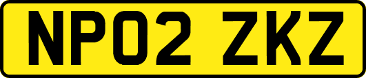 NP02ZKZ