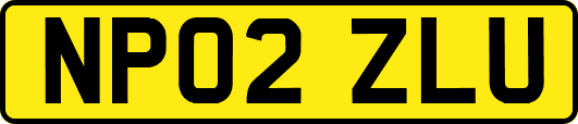 NP02ZLU