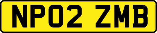 NP02ZMB