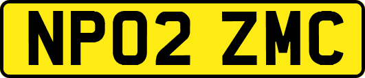 NP02ZMC