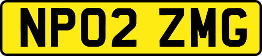 NP02ZMG