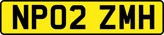 NP02ZMH