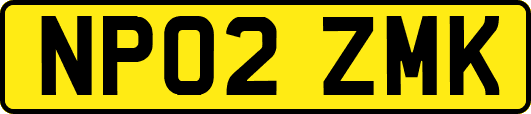 NP02ZMK