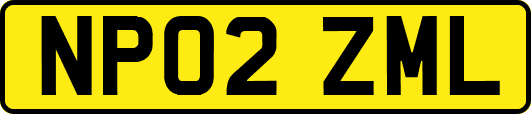 NP02ZML