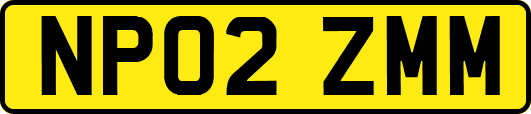 NP02ZMM