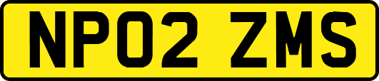 NP02ZMS