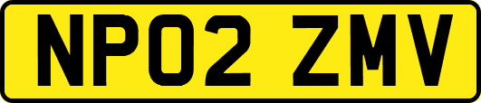NP02ZMV